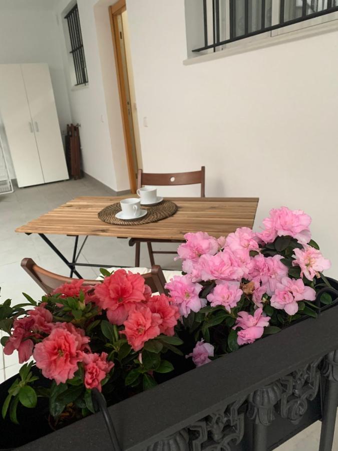 Casa Vigon Apartamento Sanlúcar de Barrameda Exterior foto